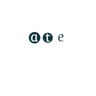 ATE Chandra Foundation