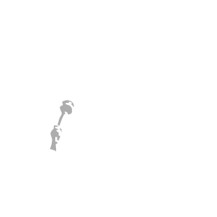 Bhumi